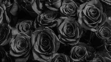 How to Interpret a Dream Involving the Color Black