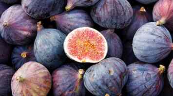 Selecting and Enjoying Fresh Figs: A Quick Guide