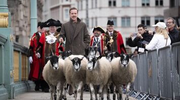 Damian Lewis Honors Tradition by Herding Sheep Across London’s Bridge