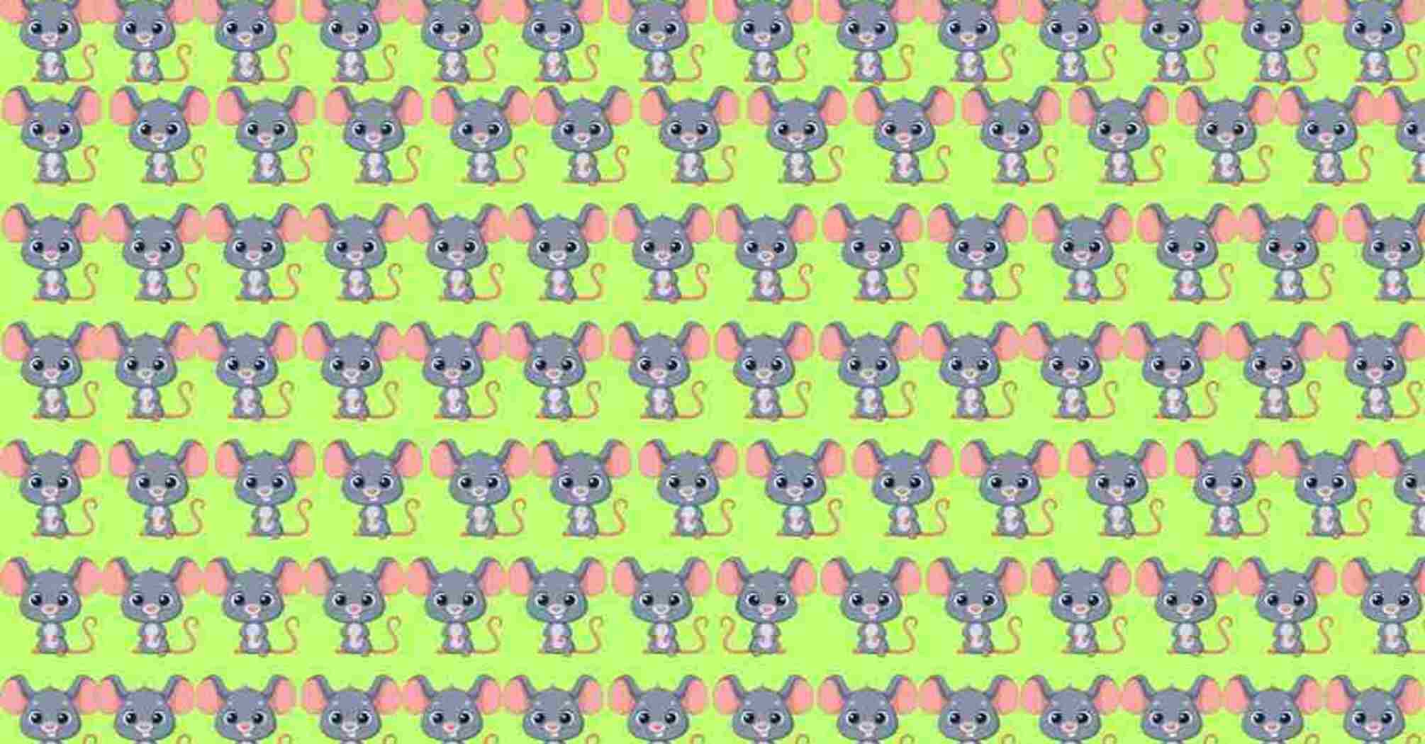 Brain Teaser: Find The Odd Mouse