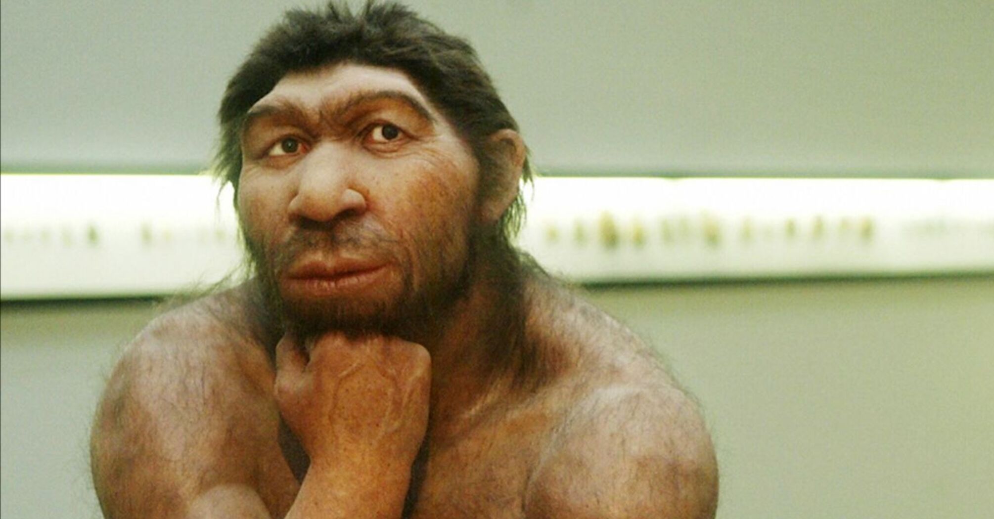 Did We Kill the Neanderthals? New Insights Unravel an Ancient Mystery