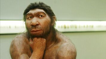 Did We Kill the Neanderthals? New Insights Unravel an Ancient Mystery
