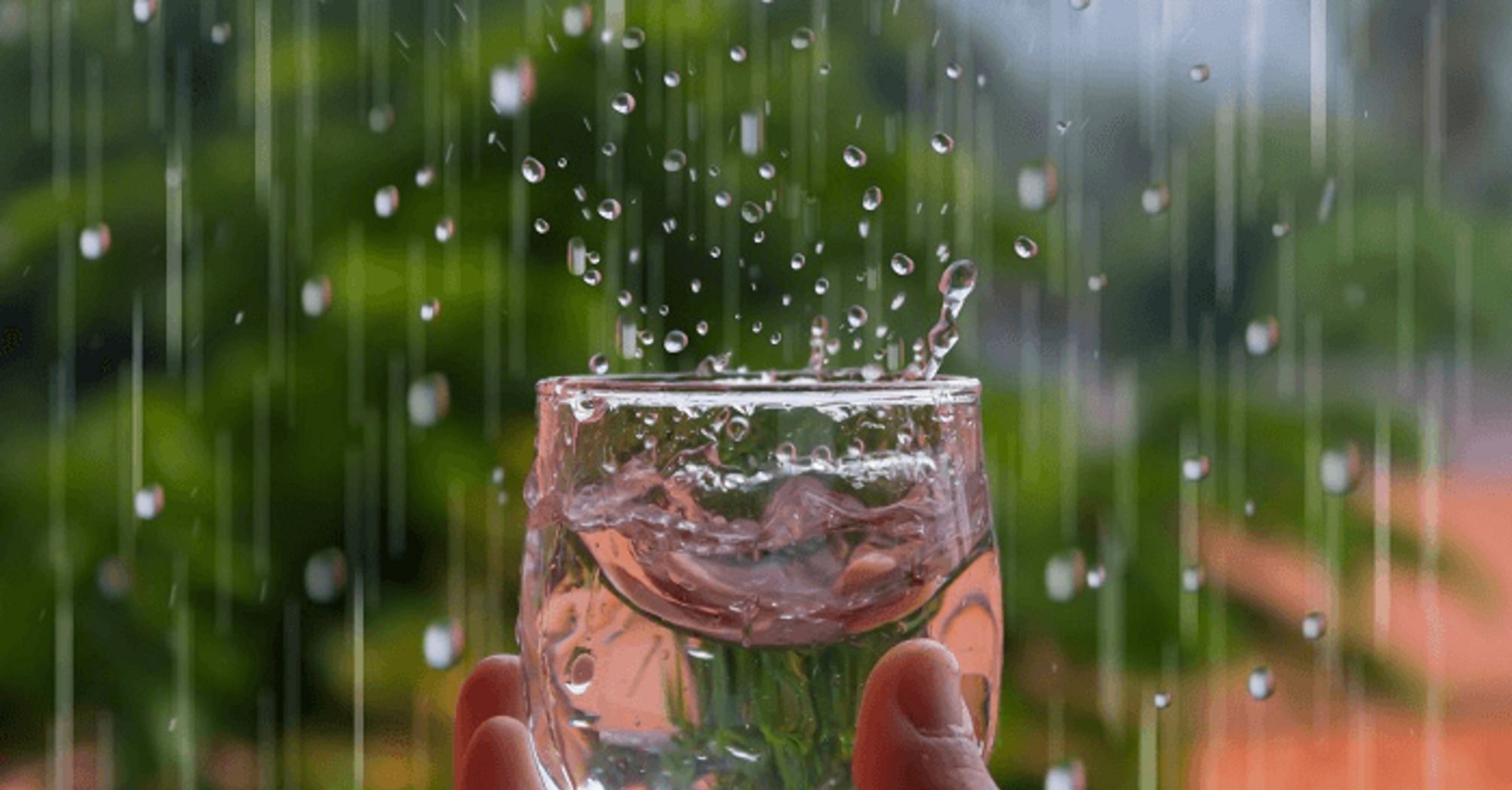 Is Drinking Rainwater Safe?