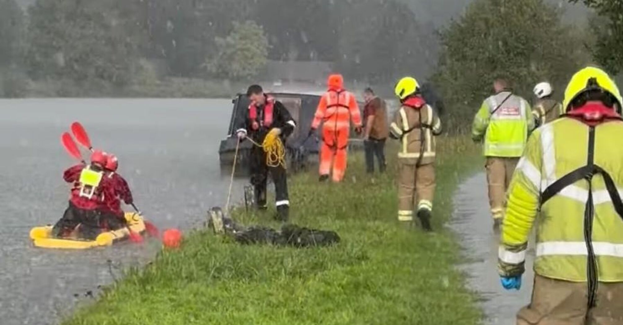 Stranded Calf Rescued from the River Thames