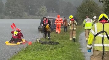 Stranded Calf Rescued from the River Thames