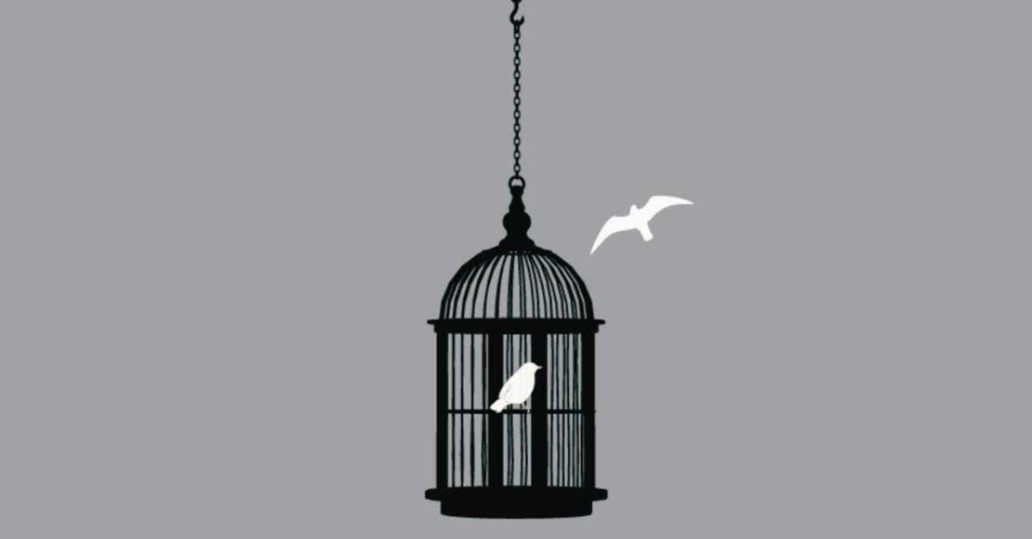 What Does a Caged Bird Mean in Your Dream?