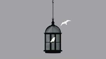 What Does a Caged Bird Mean in Your Dream?