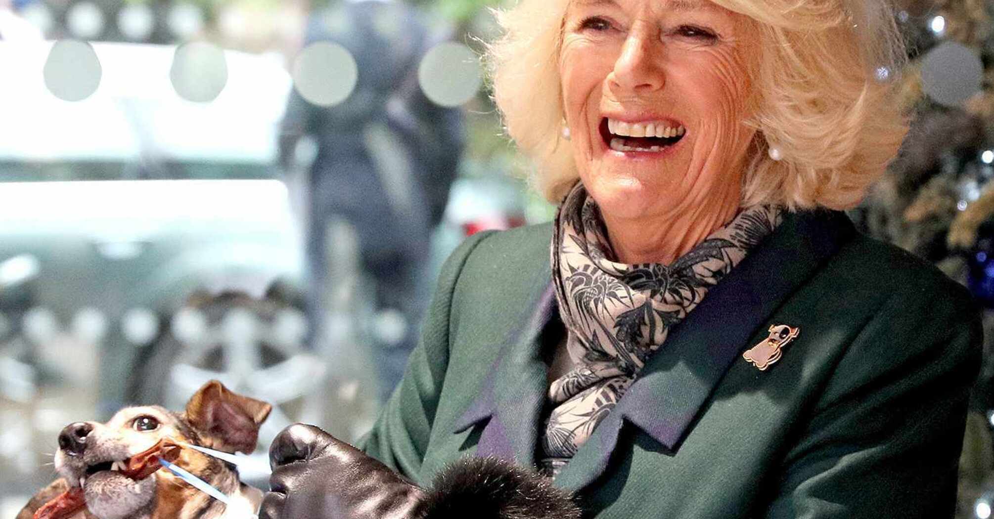 Queen Camilla's Beloved Companion, Beth, Passes Away: 'Brought Such Joy'