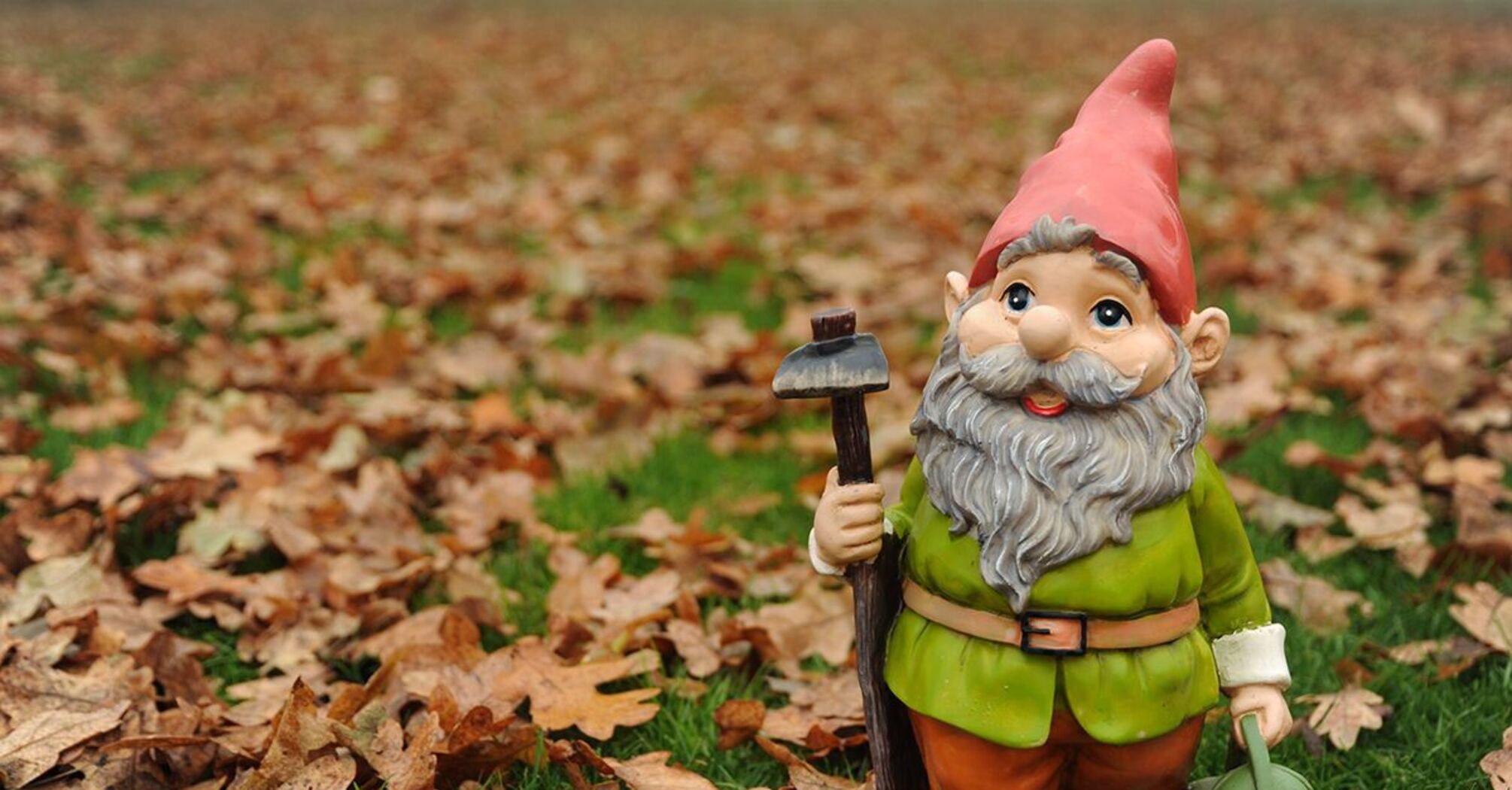 8 Spiritual Meanings of Garden Gnome