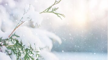 6 Spiritual Meanings of Snow