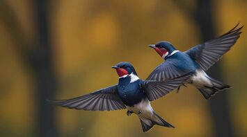 13 Spiritual Meanings of Swallow Bird Revealed