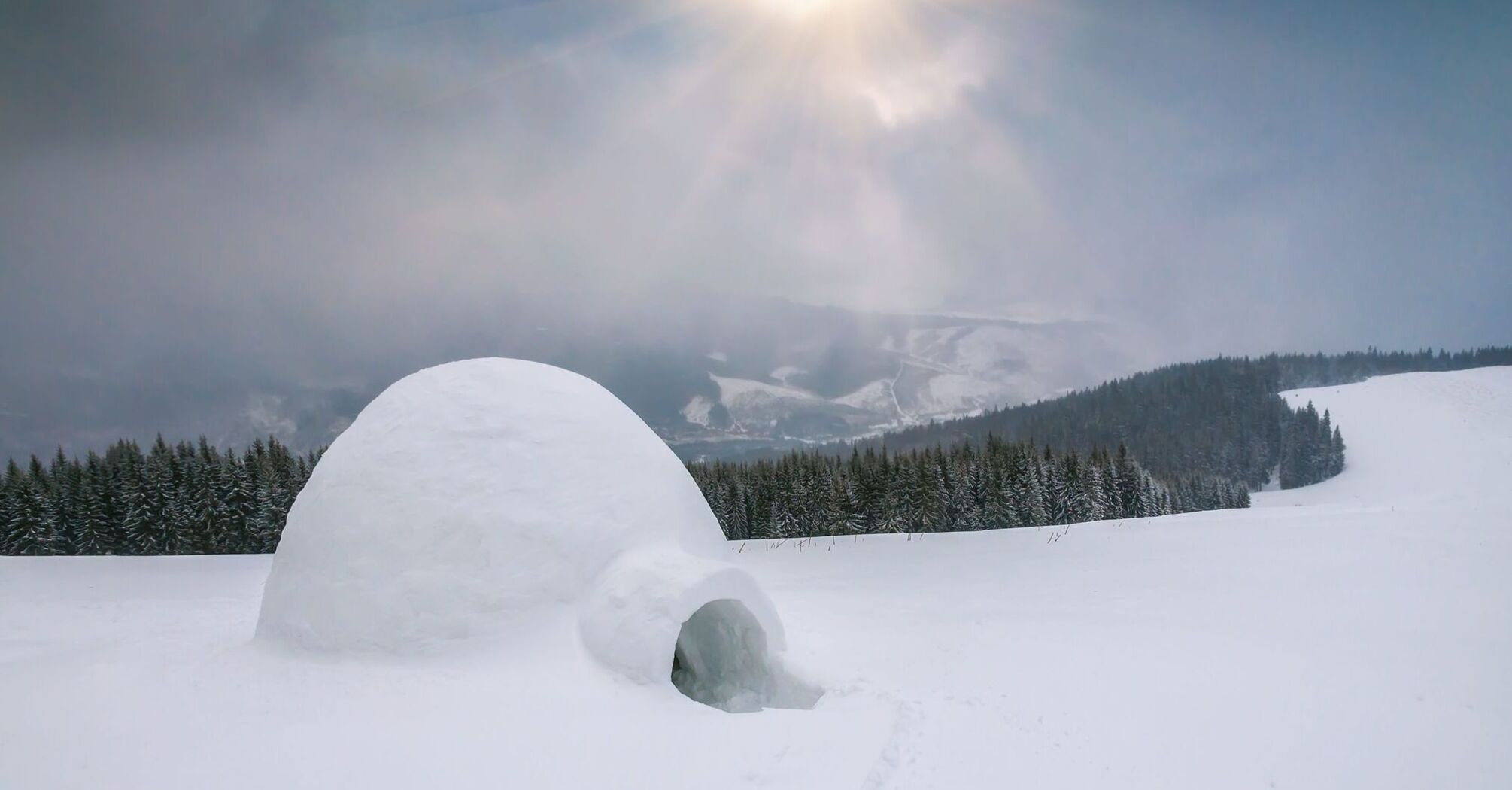 Understanding the Igloo in Your Dreams