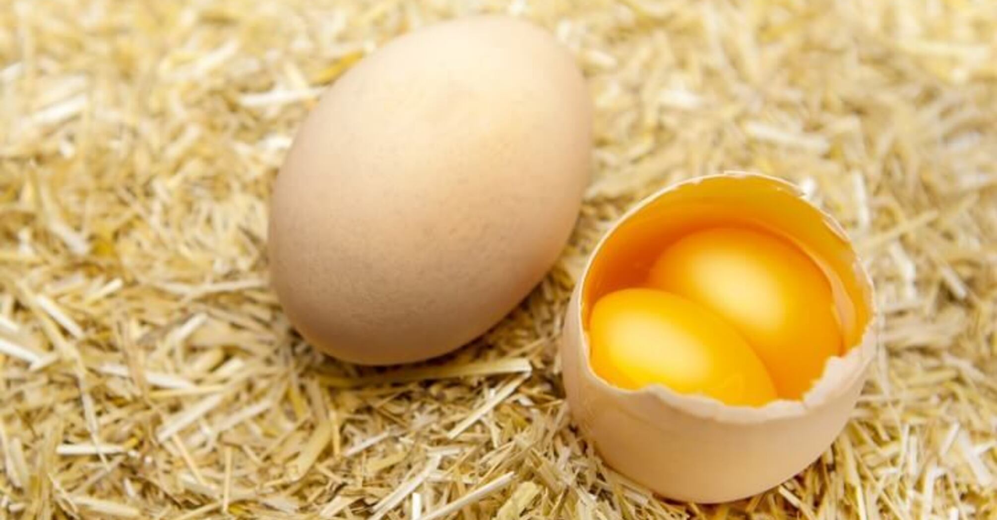 The Spiritual Meaning Behind Double-Yolk Egg: 11 Possible Interpretations