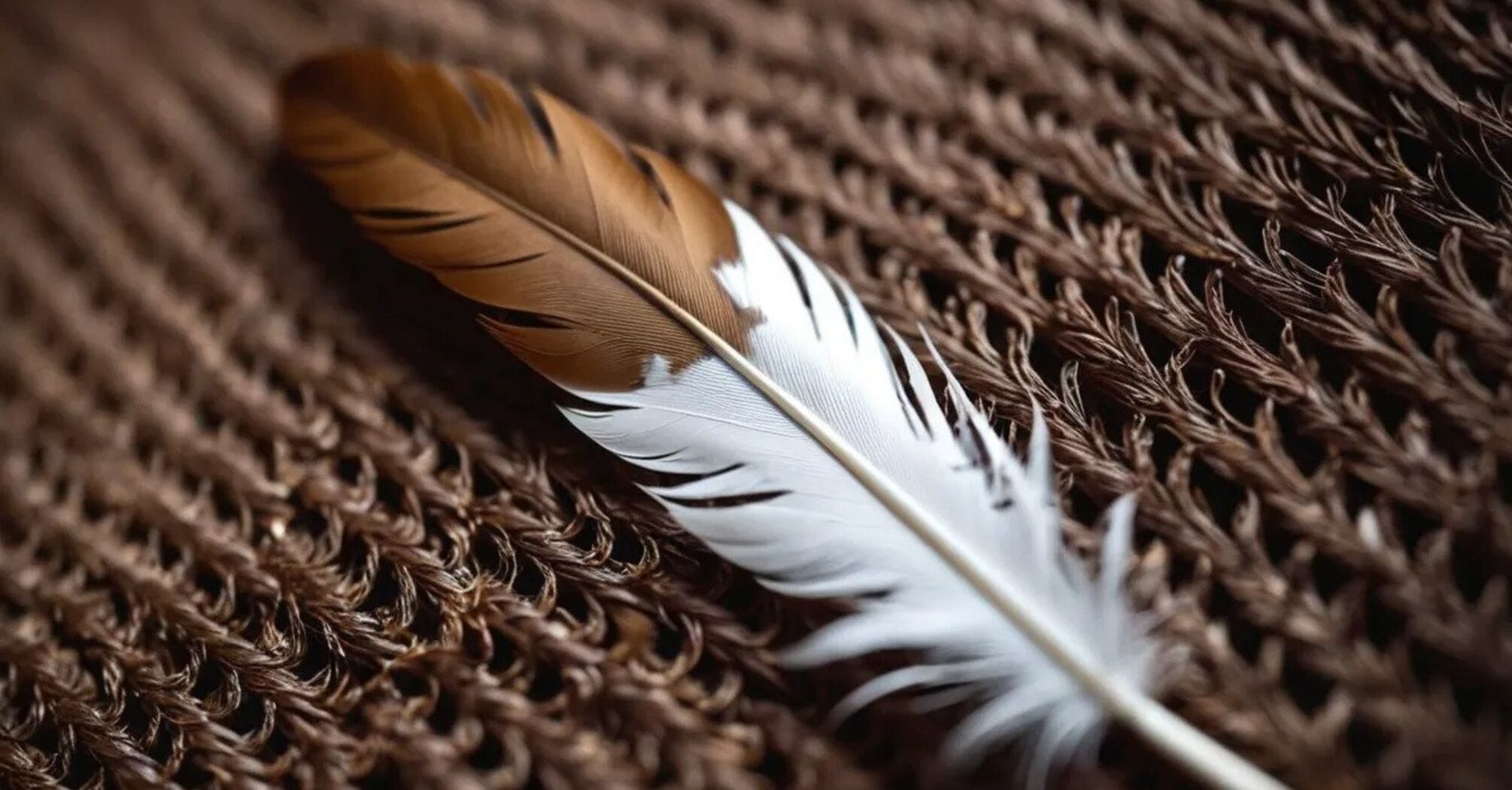 11 Spiritual Meanings of Brown Feather