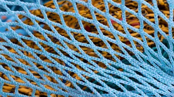What Do Nets Mean in Your Dream?