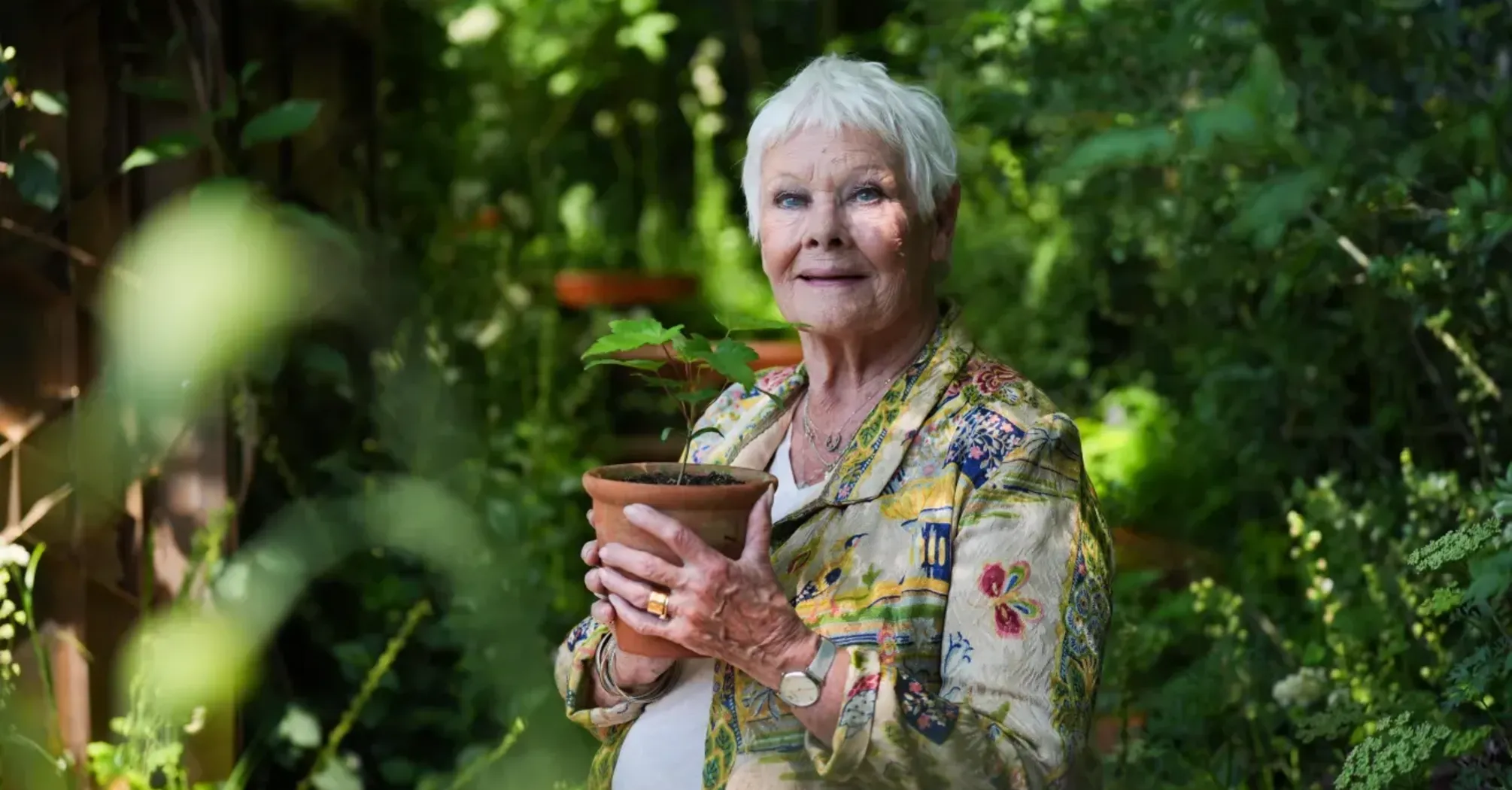 Judi Dench Discusses Her Pet Parrot and Life's Challenges