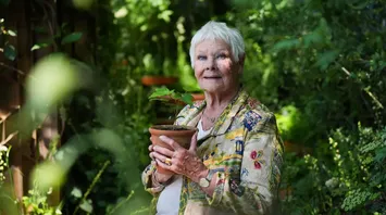 Judi Dench Discusses Her Pet Parrot and Life's Challenges