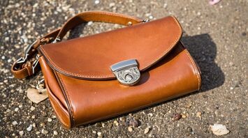 What does a lost purse mean in your dream?