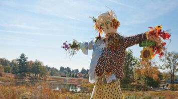 Uncovering the Meaning Behind Scarecrow Dreams