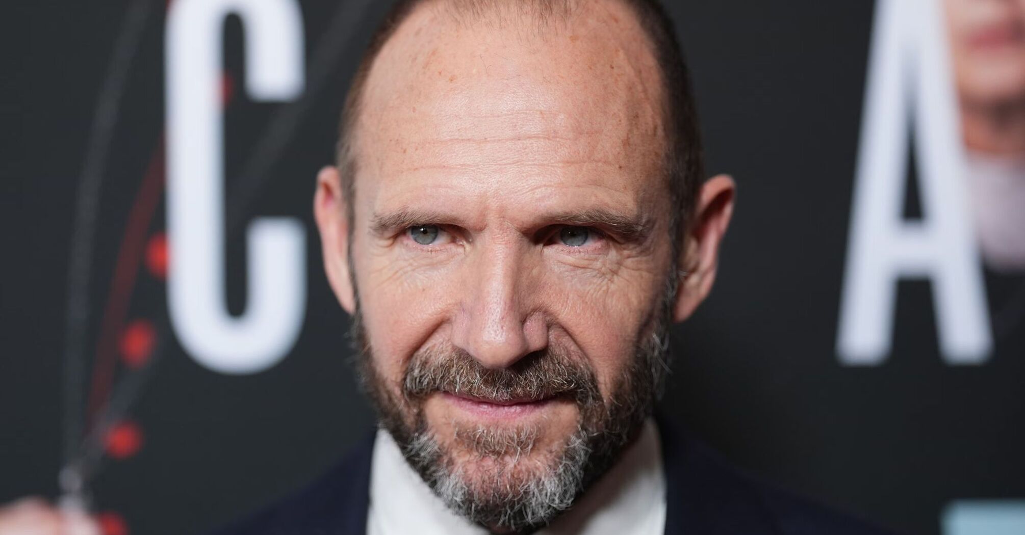 Ralph Fiennes Approves of Cillian Murphy as Voldemort