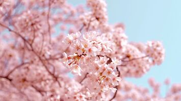 10 Spiritual Meanings of Cherry Blossom