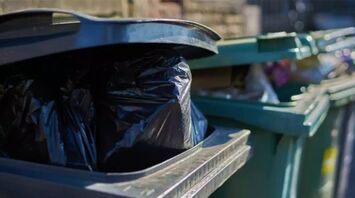 Why you shouldn't take out the trash in the evening