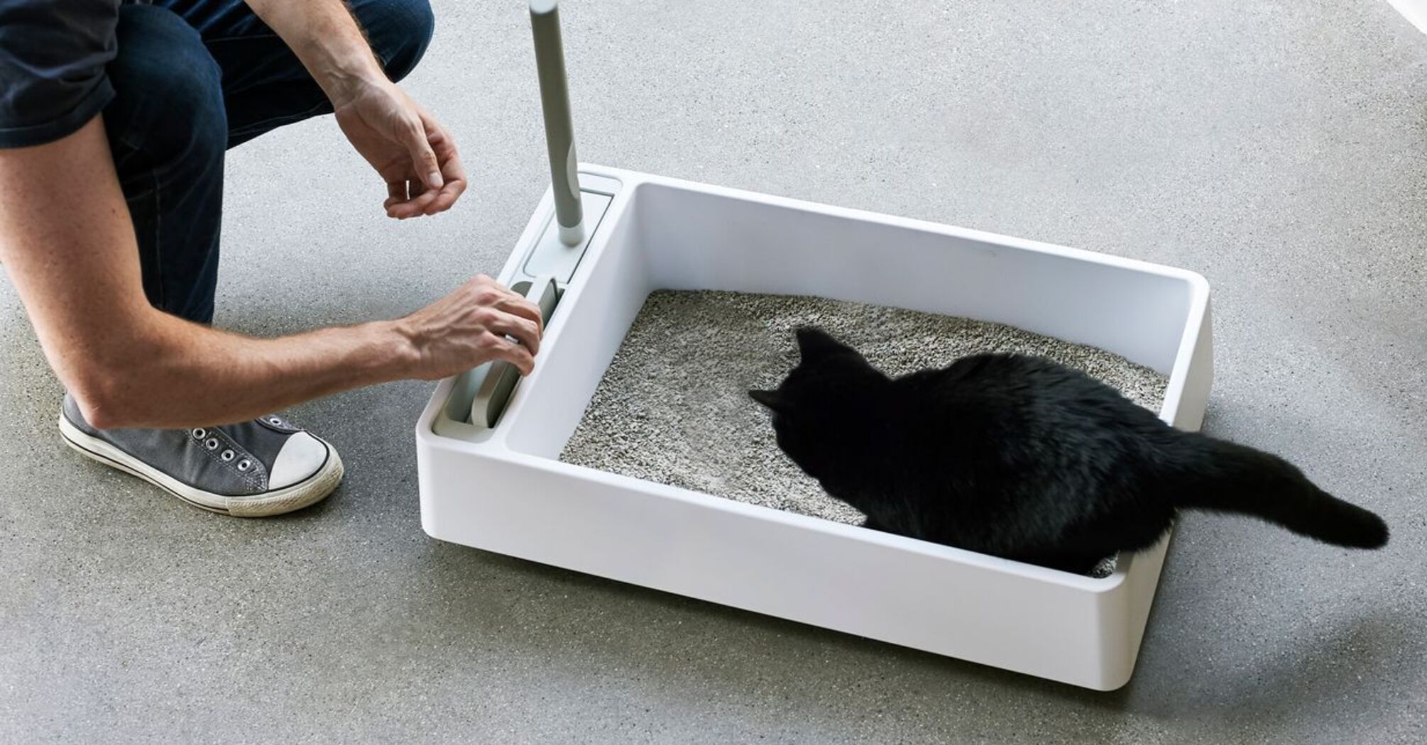 How to choose a cat litter box