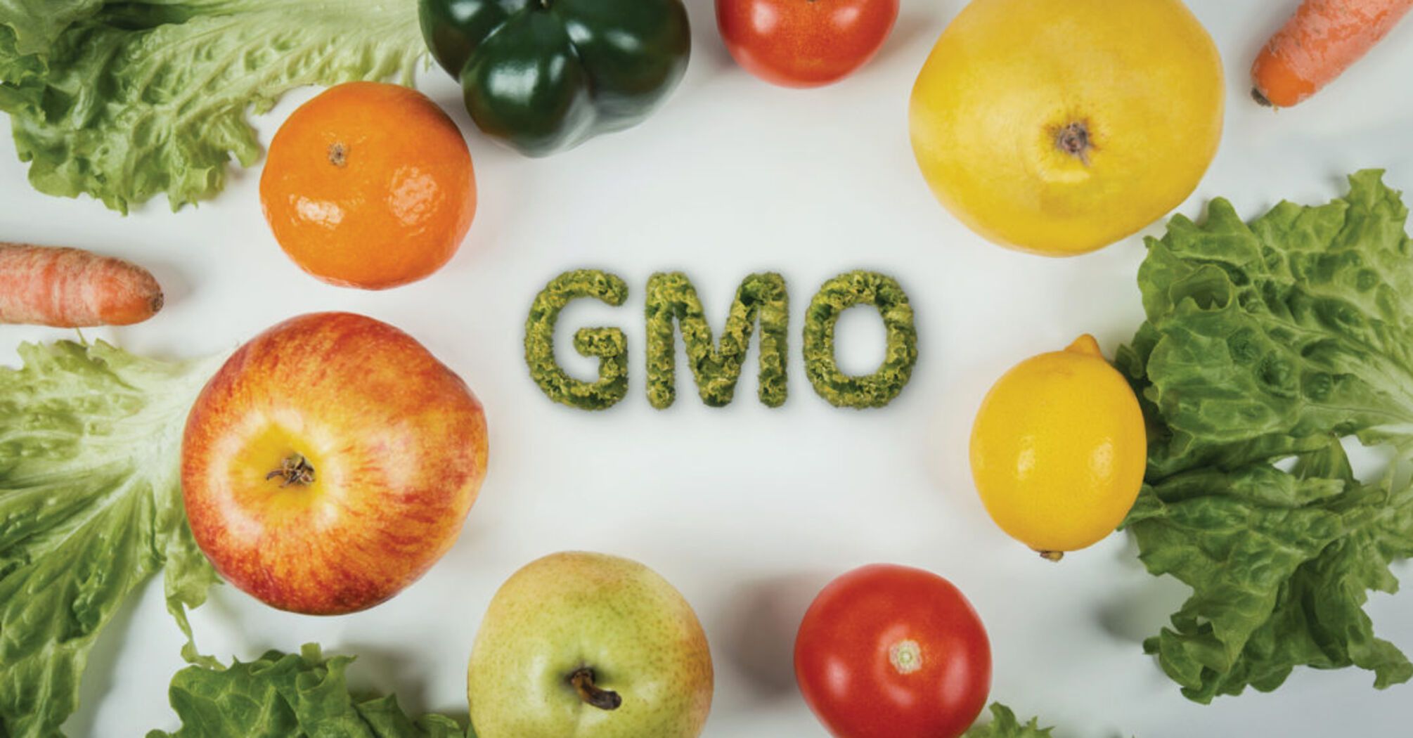 Features of genetically modified organisms (GMOs)