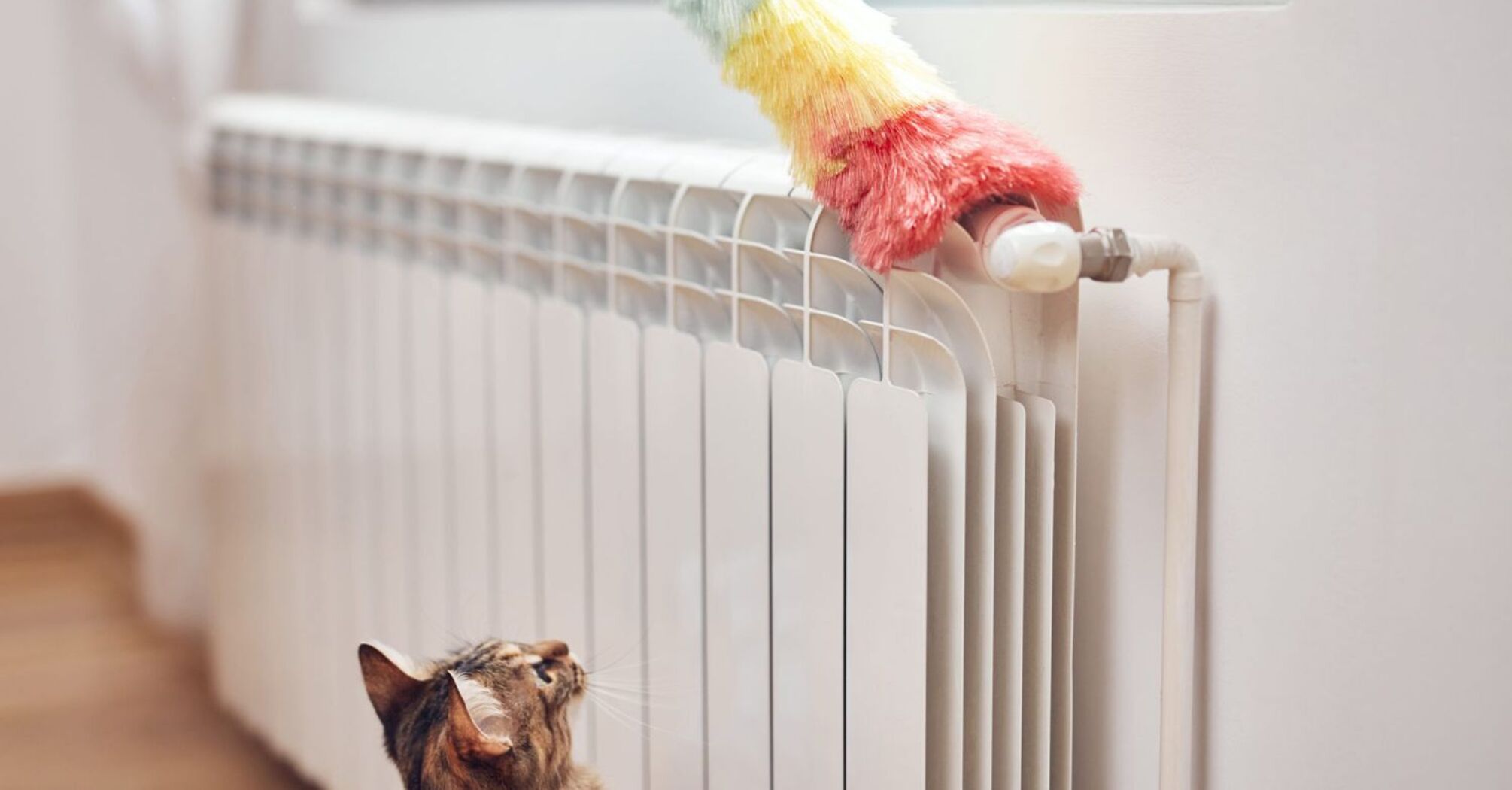 How to easily clean a heating radiator
