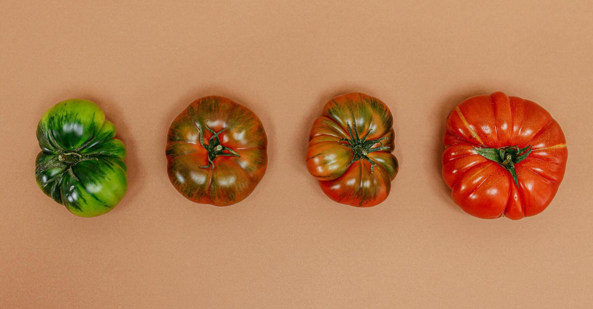 The 7 best tomato varieties