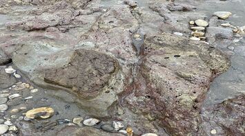 Mysterious footprints found on a British beach