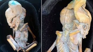 Mysterious "alien" with slanted eyes and elongated skull found in Colombia