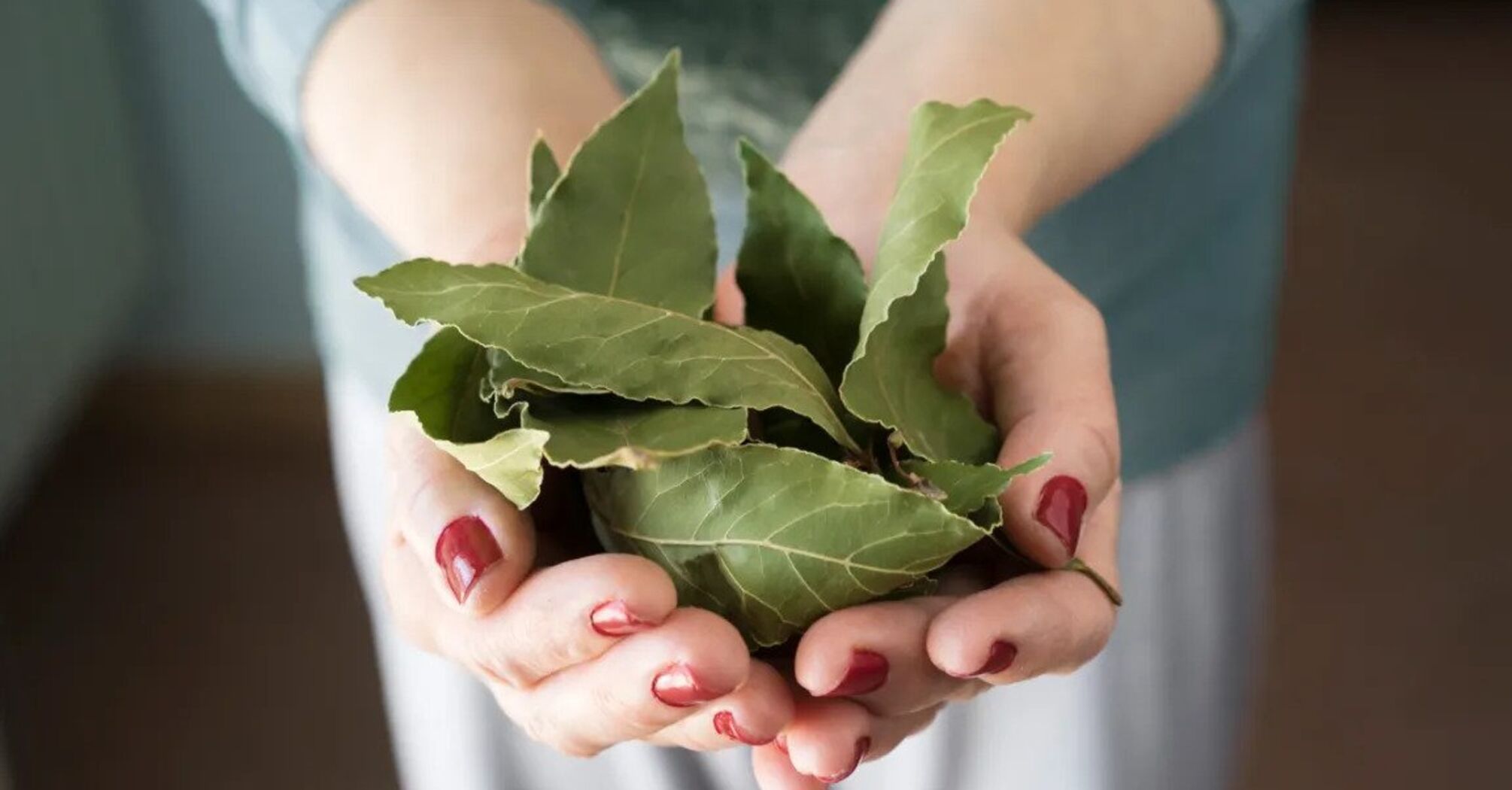 Spread bay leaves at home