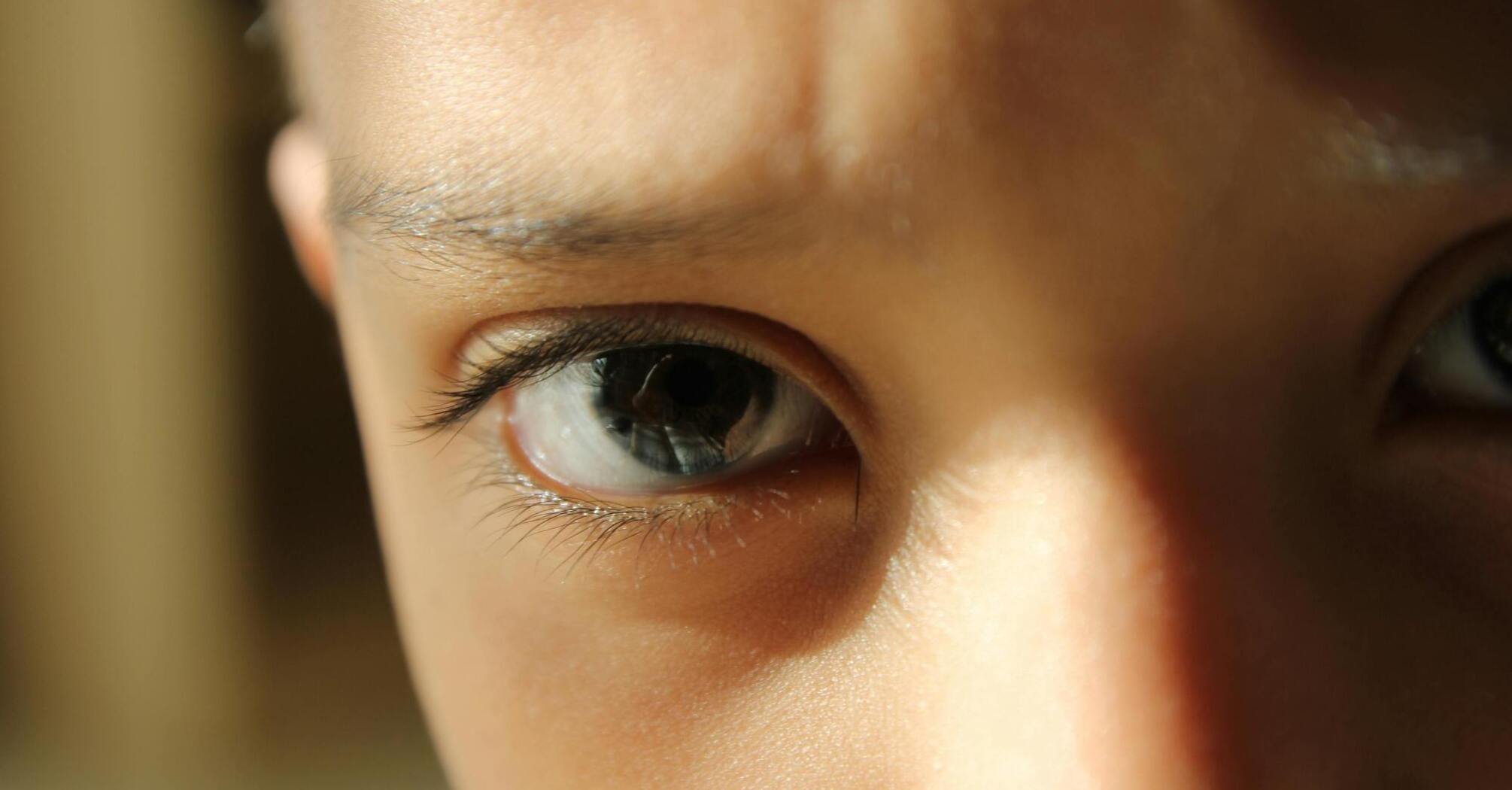 5 fascinating facts about eyes and vision