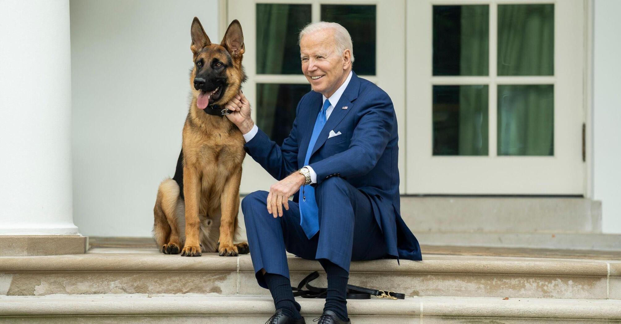 Biden's dog Commander has bitten US Secret Service personnel