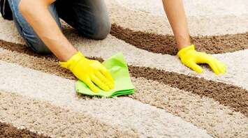 How to keep your carpet clean