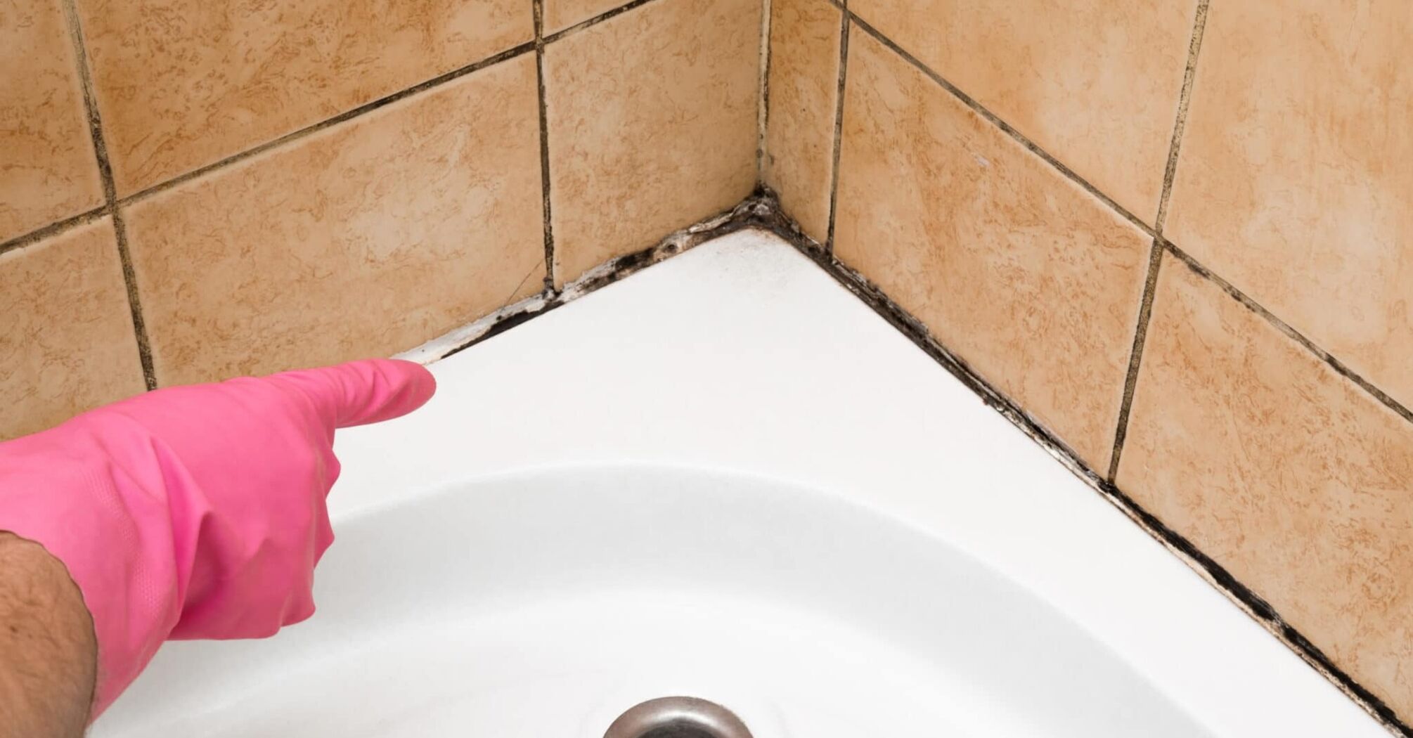 How to get rid of mold in the bathroom