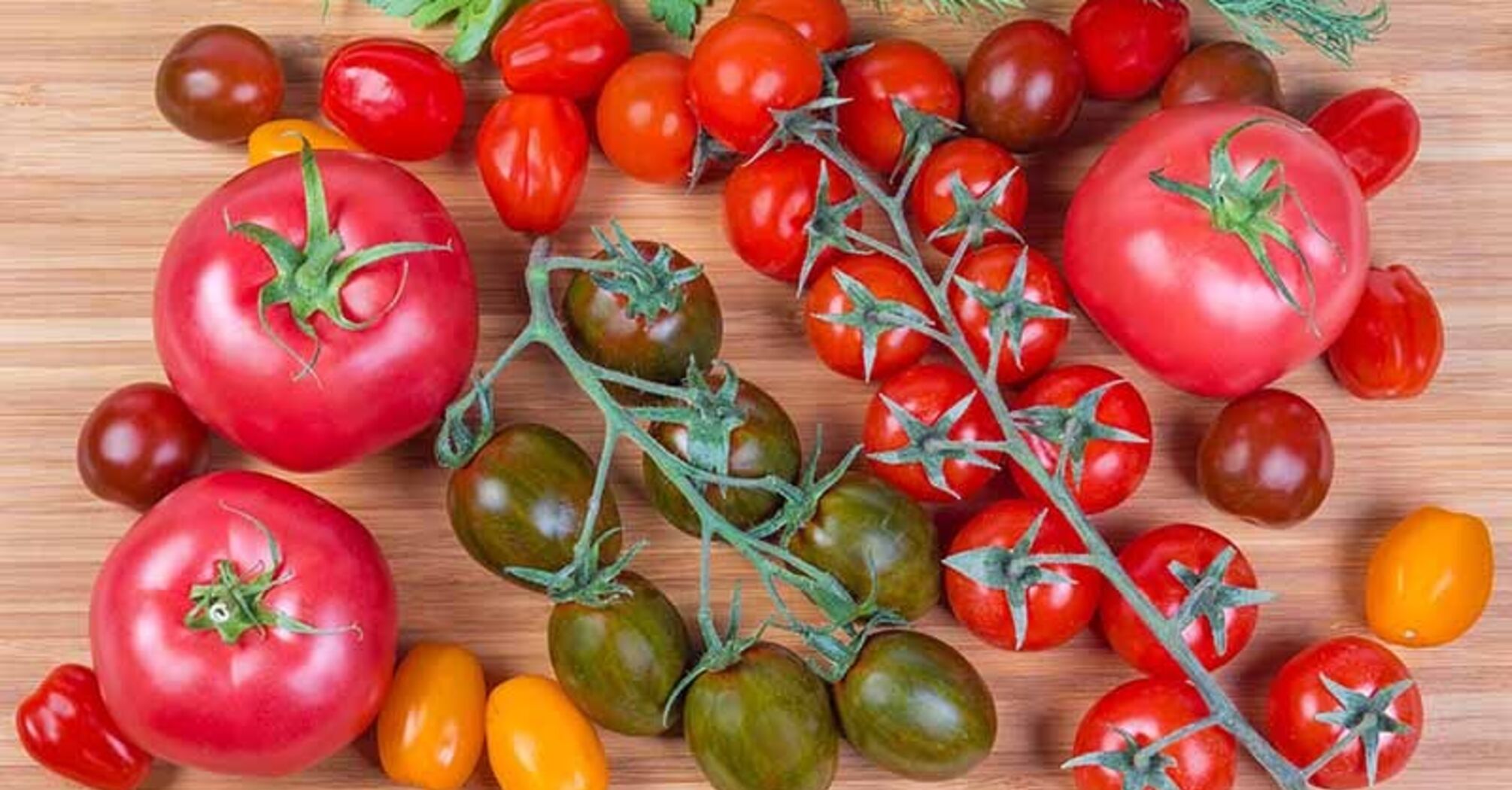 Experts name sweet and resistant tomato varieties