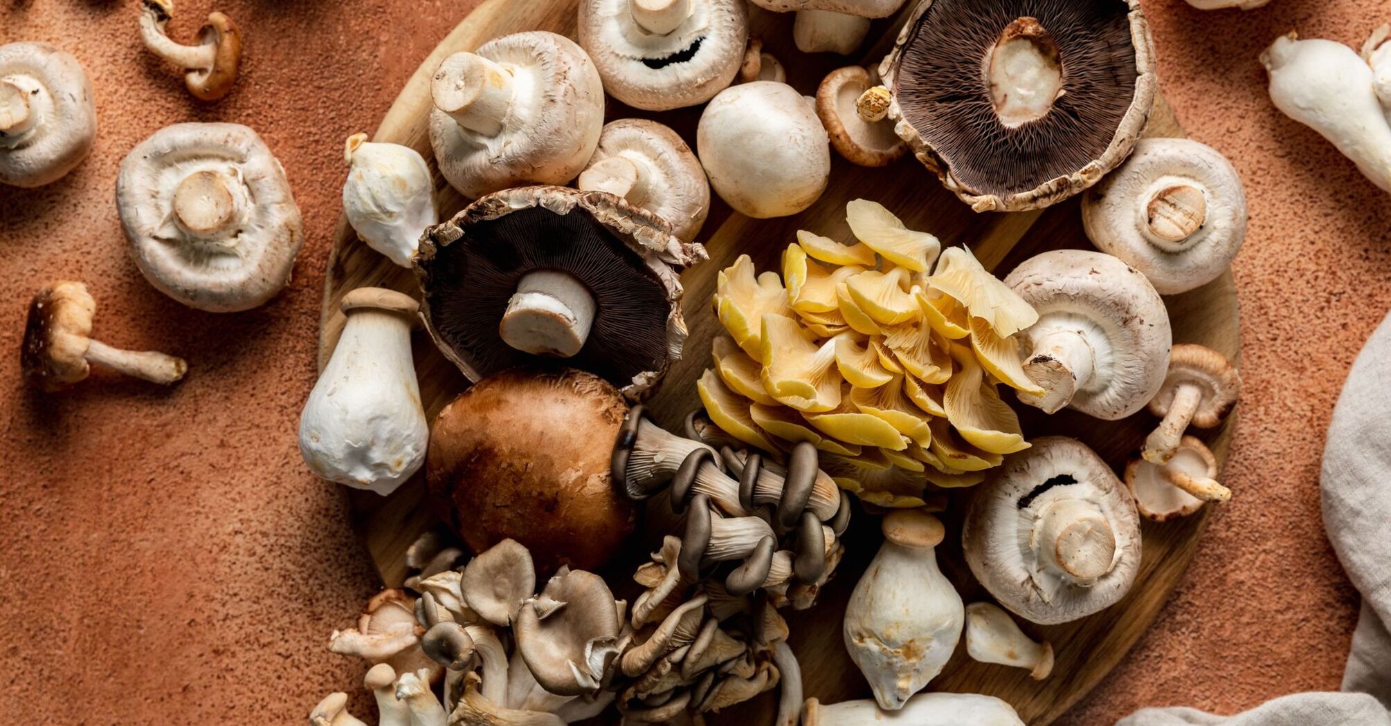 How to properly clean different types of mushrooms