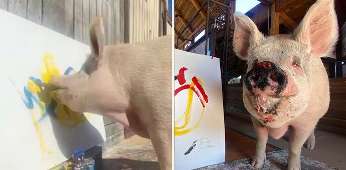 Pig-artist Picasso dies