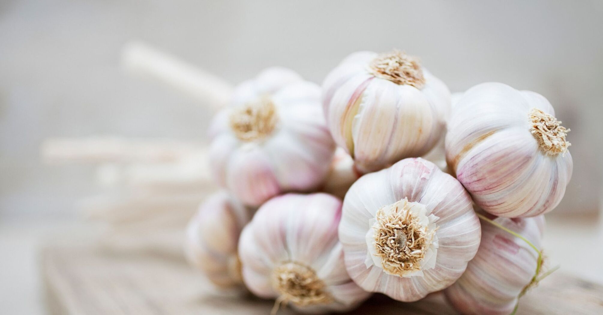 How to remove garlic odor from the mouth