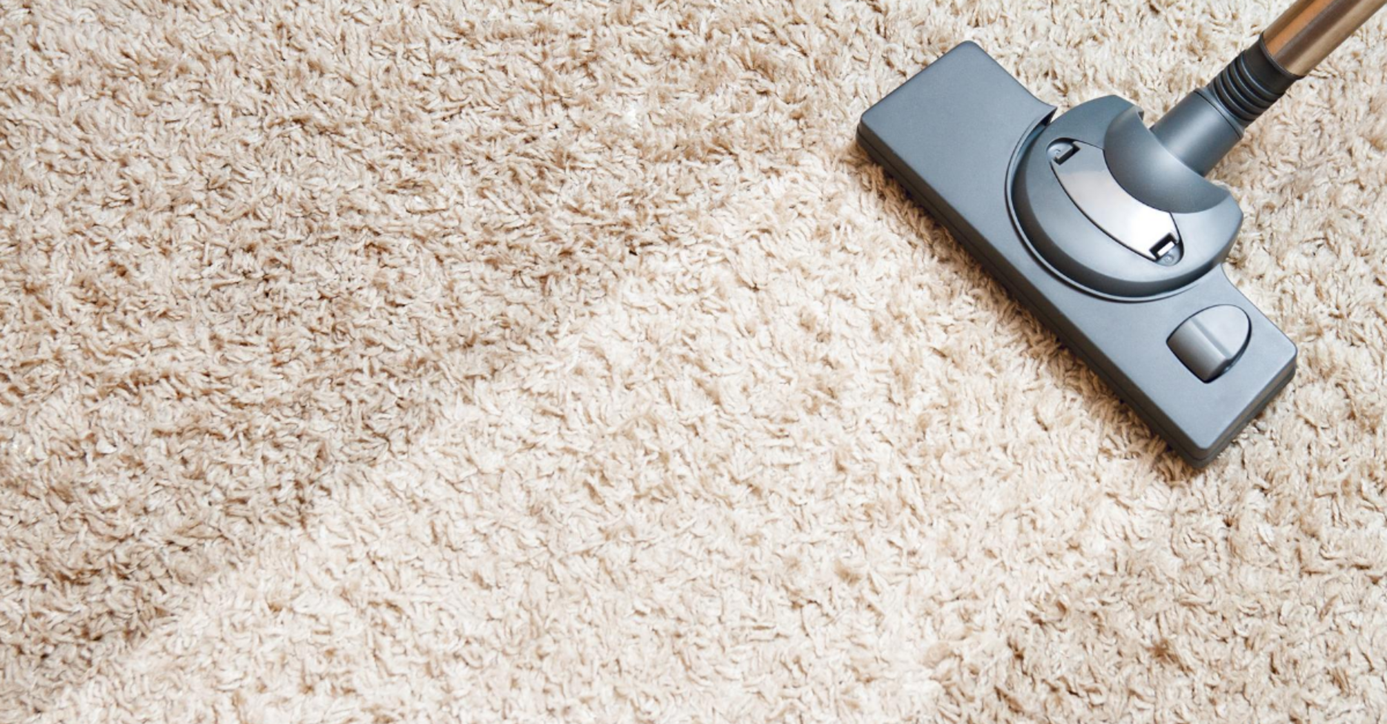 How to clean a long-pile carpet