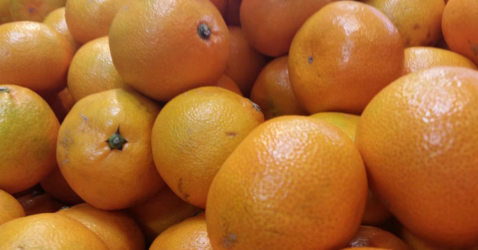 How to avoid buying tasteless oranges