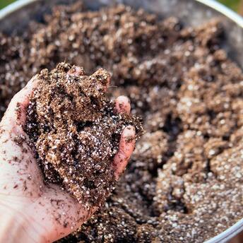 How to prepare a soil mixture for seedlings