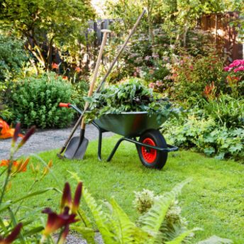 4 simple tips for keeping your garden clean