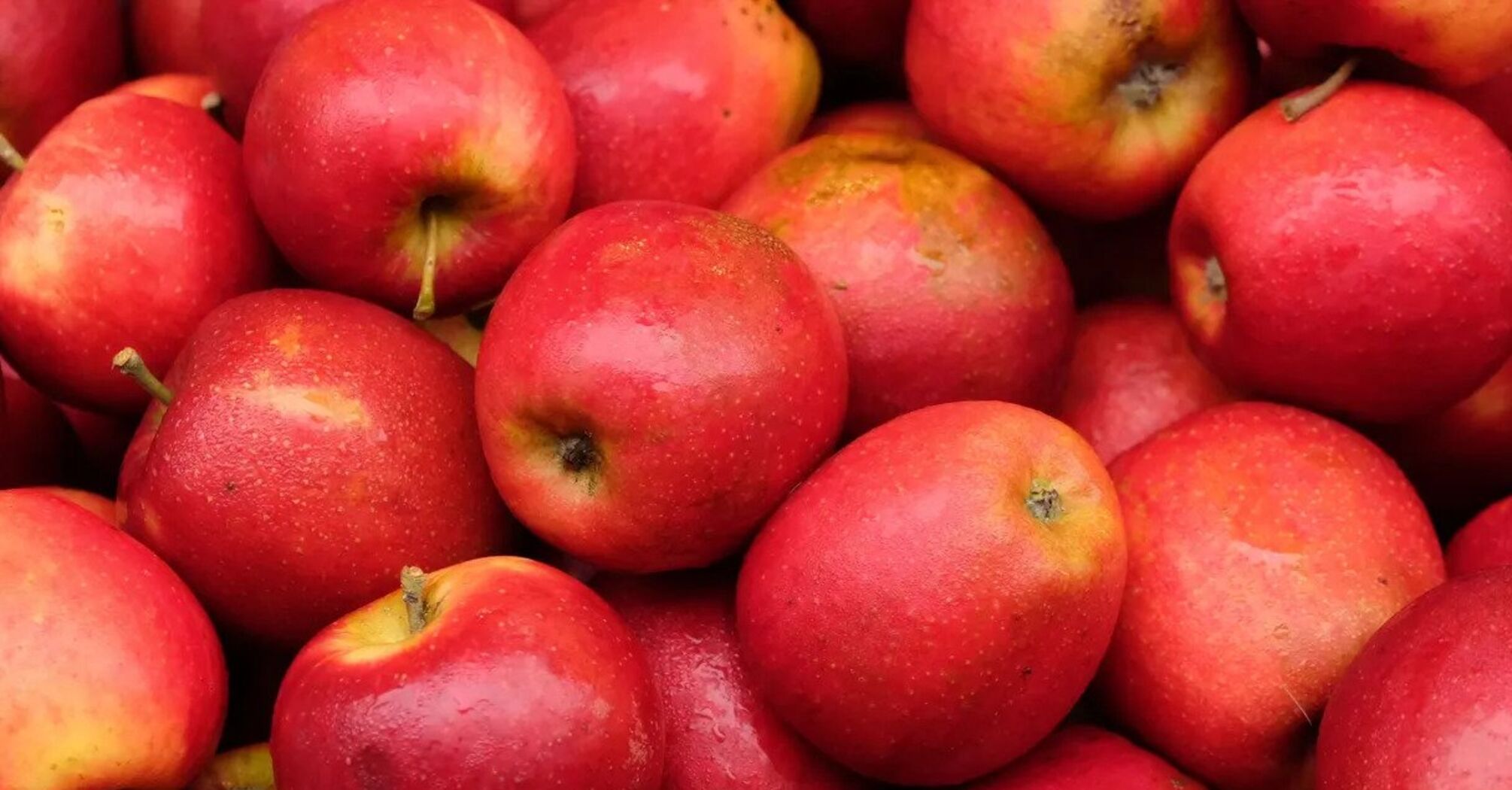 How to choose the sweetest and juiciest apples