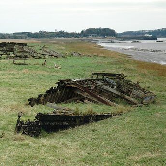 What an eerie shore with abandoned ships looks like
