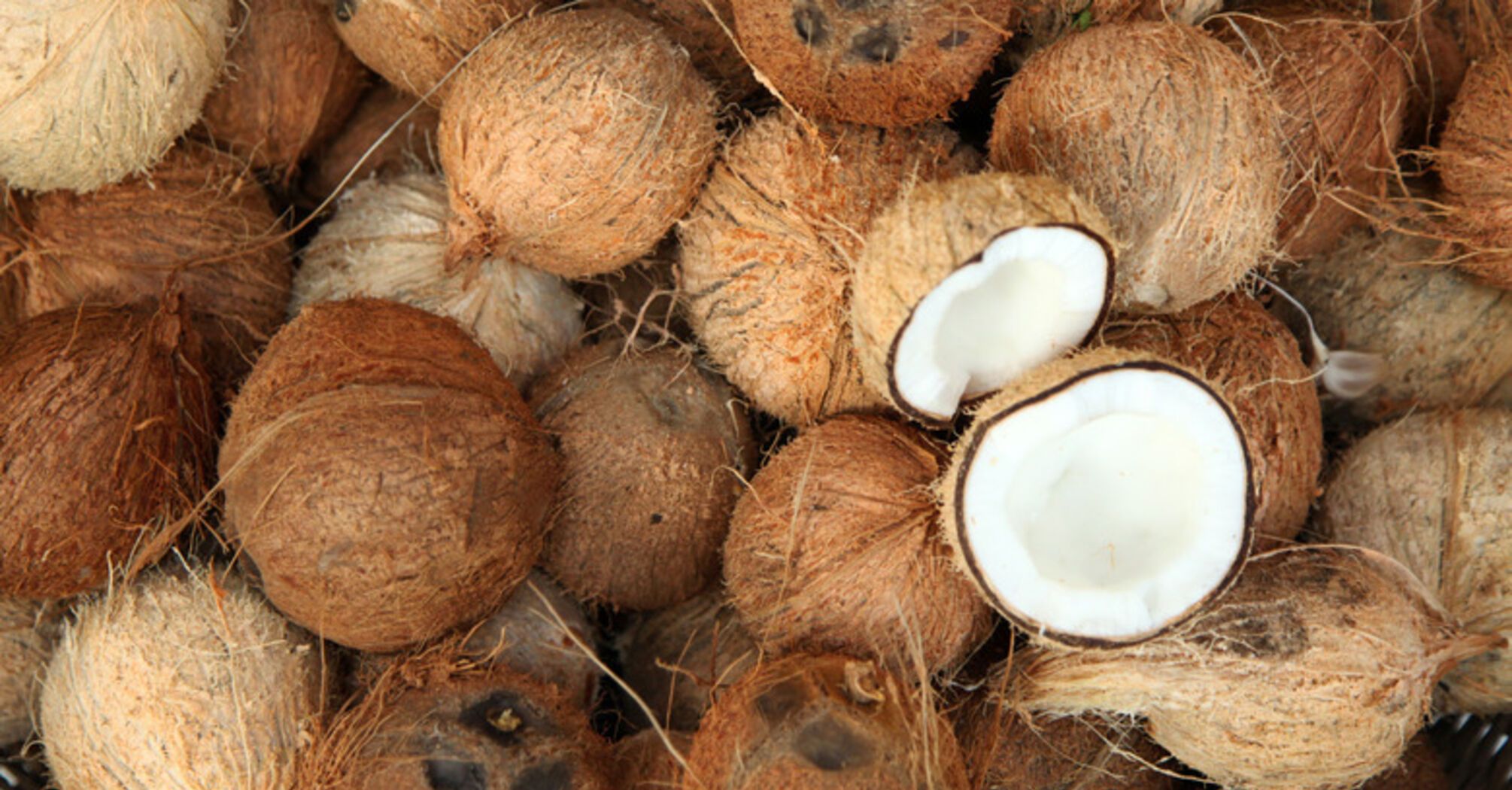 5 ways to use coconut shells