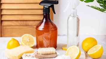 How to use citric acid in gardening