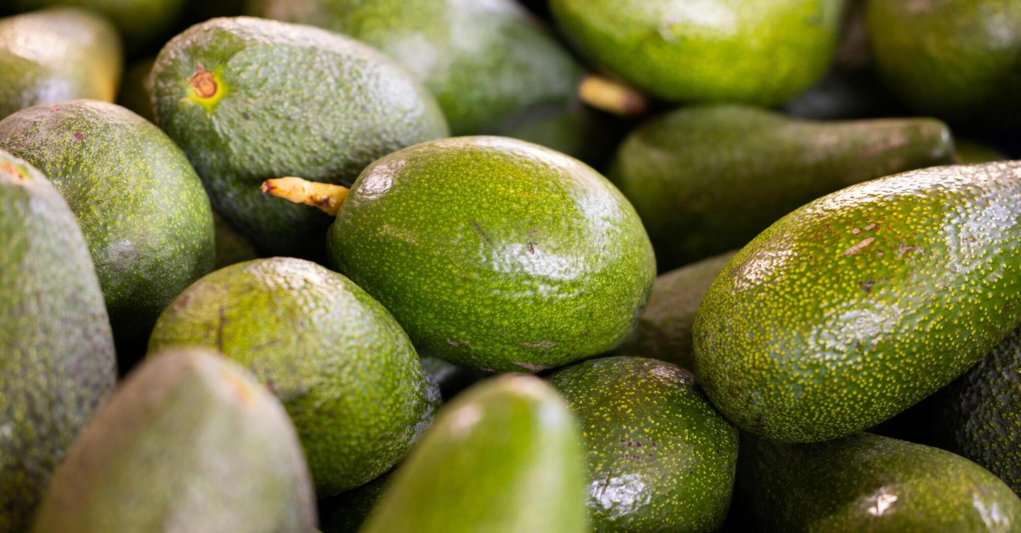 How to choose the perfect avocado?